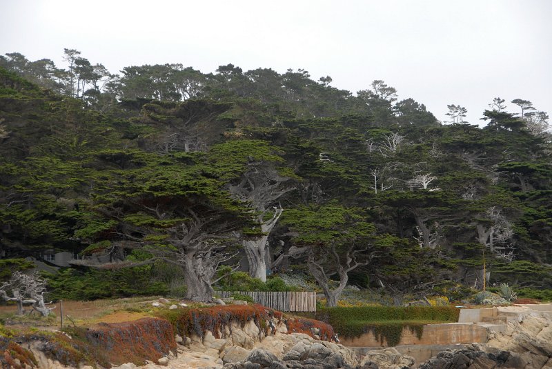 2011-07-22_Monterey-Tag27_295.jpg