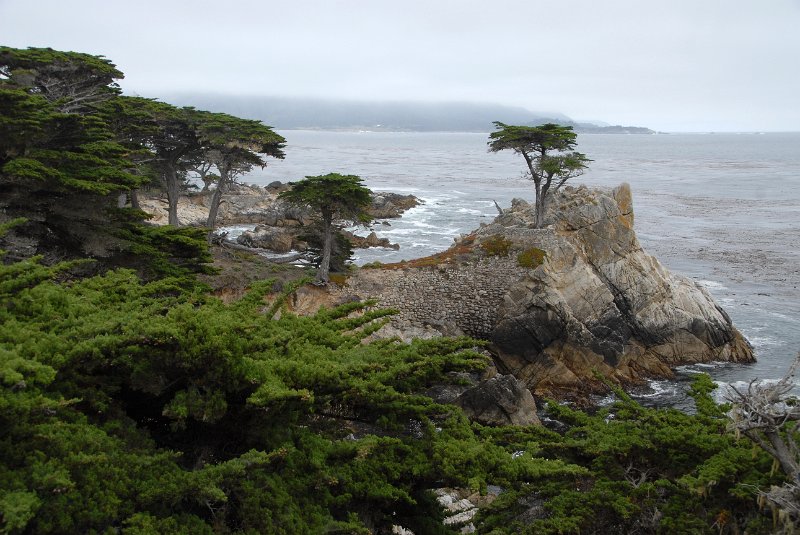 2011-07-22_Monterey-Tag27_304.jpg