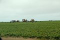 2011-07-22_Monterey-Tag27_086