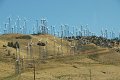 2011-07-16_Sequoia-Tag21_050