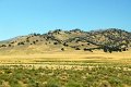 2011-07-16_Sequoia-Tag21_055