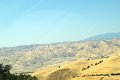 2011-07-16_Sequoia-Tag21_057