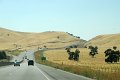 2011-07-16_Sequoia-Tag21_062
