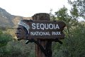 2011-07-16_Sequoia-Tag21_090