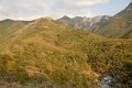 2011-07-16_Sequoia-Tag21_092