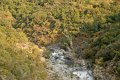 2011-07-16_Sequoia-Tag21_093